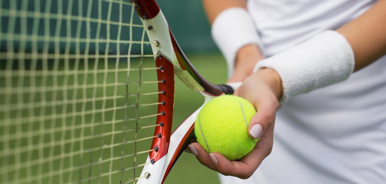 стратегия ставок на фаворита в теннисе